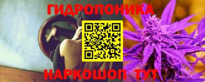 эйфоретик Гатчина
