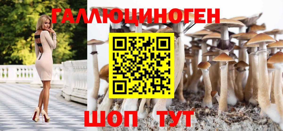продажа наркотиков  Карабулак  Галлюциногенные грибы мицелий 