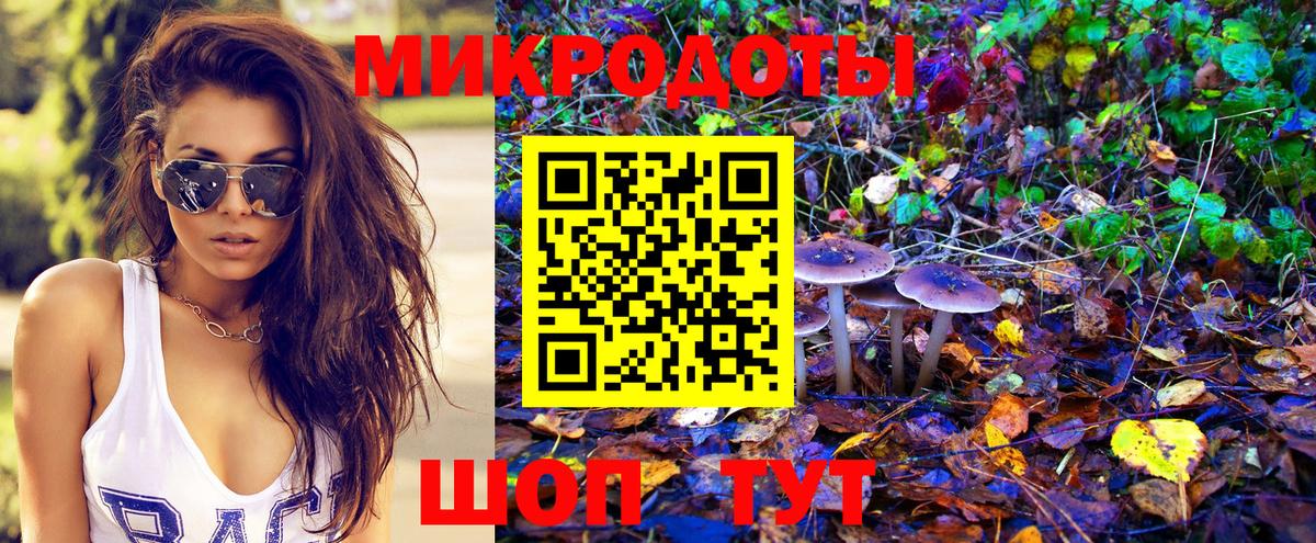 Псилоцибиновые грибы Magic Shrooms  Вход с VPN  где купить наркотик  Карабулак 